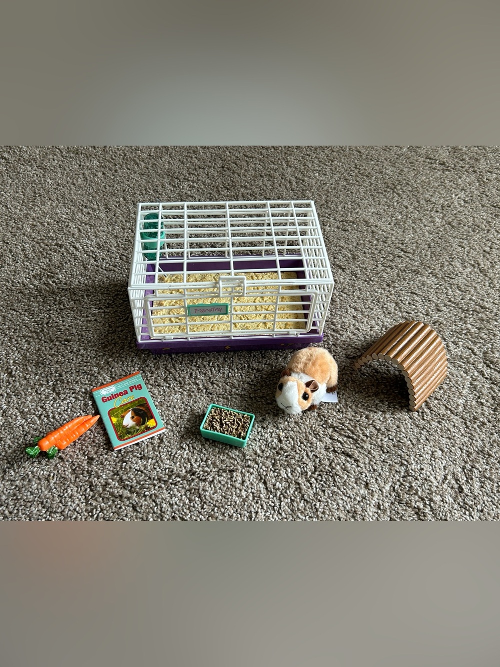 American Girl doll Courtney's Guinea Pig